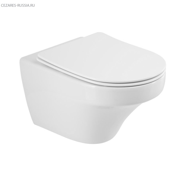 Чаша унитаза подвесного безободкового CZR-2462-TH-TOR Чаша унитаза подвесного безободкового CZR-2462-TH-TOR