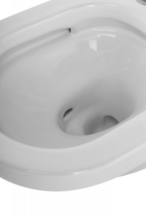 Чаша унитаза подвесного безободкового CZR-2462-TH-TOR Чаша унитаза подвесного безободкового CZR-2462-TH-TOR
