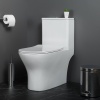 Унитаз-моноблок с сиденьем BelBagno LOUNGE BB8618CPR-MN/SC Унитаз-моноблок с сиденьем BelBagno LOUNGE BB8618CPR-MN/SC