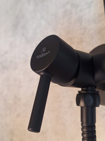 Встраиваемый гигиенический душ AltroBagno BM 060119 NeOp Встраиваемый гигиенический душ AltroBagno BM 060119 NeOp