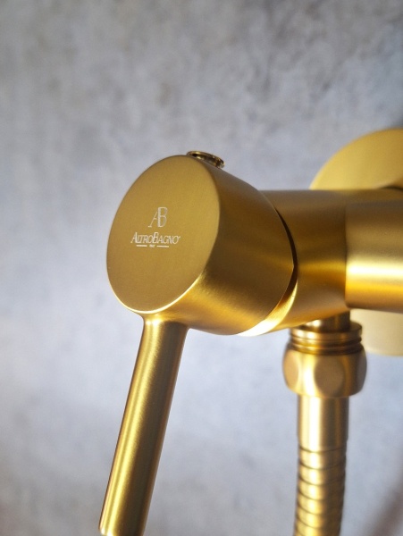 Встраиваемый гигиенический душ AltroBagno BM 060117 OrSp Встраиваемый гигиенический душ AltroBagno BM 060117 OrSp