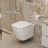 Крышка-сиденье BelBagno BB2322SC