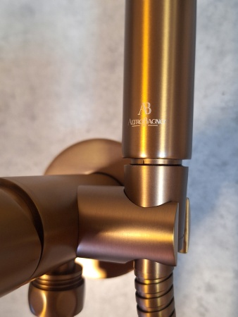 Встраиваемый гигиенический душ AltroBagno BM 060123 RaSp Встраиваемый гигиенический душ AltroBagno BM 060123 RaSp