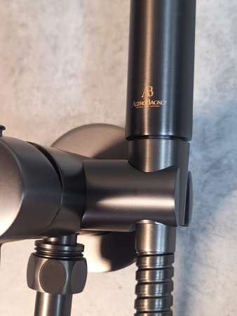 Встраиваемый гигиенический душ AltroBagno BM 060118 GrMt Встраиваемый гигиенический душ AltroBagno BM 060118 GrMt