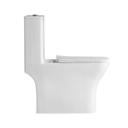 Унитаз-моноблок с сиденьем BelBagno NEON BB8617CPR-MN/SC Унитаз-моноблок с сиденьем BelBagno NEON BB8617CPR-MN/SC