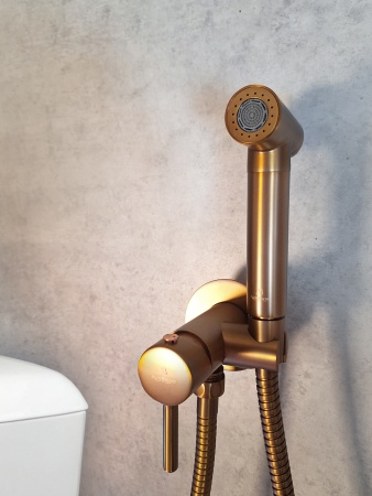 Встраиваемый гигиенический душ AltroBagno BM 060123 RaSp Встраиваемый гигиенический душ AltroBagno BM 060123 RaSp