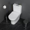 Унитаз-моноблок с сиденьем BelBagno LOUNGE BB8618CPR-MN/SC Унитаз-моноблок с сиденьем BelBagno LOUNGE BB8618CPR-MN/SC