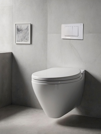 Кнопка смыва AltroBagno PFP 001AQ