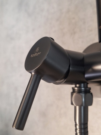 Встраиваемый гигиенический душ AltroBagno BM 060118 GrMt Встраиваемый гигиенический душ AltroBagno BM 060118 GrMt