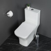 Унитаз-моноблок с сиденьем BelBagno NEON BB8617CPR-MN/SC Унитаз-моноблок с сиденьем BelBagno NEON BB8617CPR-MN/SC