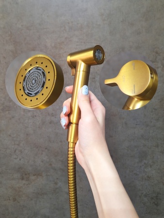 Встраиваемый гигиенический душ AltroBagno BM 060117 OrSp Встраиваемый гигиенический душ AltroBagno BM 060117 OrSp