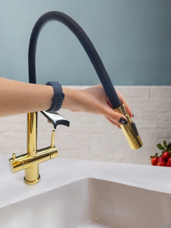 Смеситель для кухни с гибким изливом AltroBagno Flusso 050205 Or