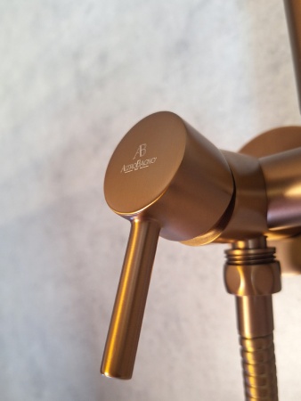 Встраиваемый гигиенический душ AltroBagno BM 060123 RaSp Встраиваемый гигиенический душ AltroBagno BM 060123 RaSp