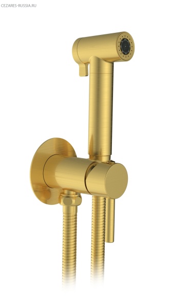 Встраиваемый гигиенический душ AltroBagno BM 060117 OrSp Встраиваемый гигиенический душ AltroBagno BM 060117 OrSp