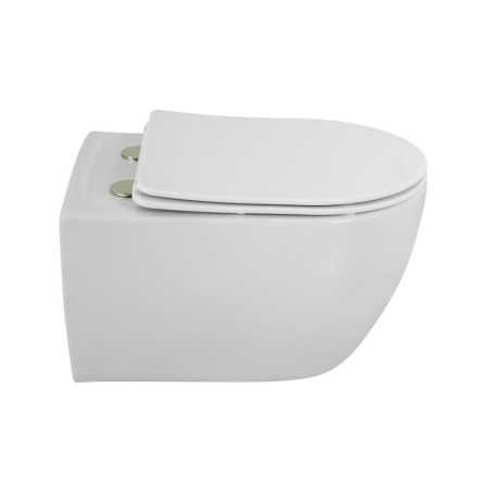 Чаша подвесного унитаза безободкового CEZARES COMFORT CZR-191-TH Чаша подвесного унитаза безободкового CEZARES COMFORT CZR-191-TH