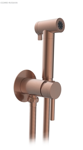 Встраиваемый гигиенический душ AltroBagno BM 060123 RaSp Встраиваемый гигиенический душ AltroBagno BM 060123 RaSp