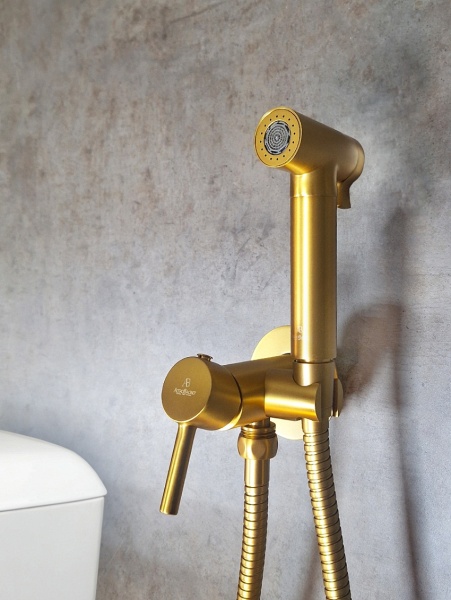 Встраиваемый гигиенический душ AltroBagno BM 060117 OrSp Встраиваемый гигиенический душ AltroBagno BM 060117 OrSp