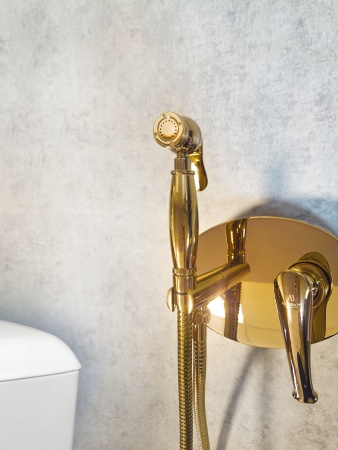 Встраиваемый гигиенический душ AltroBagno Beatrice 060113 Or Встраиваемый гигиенический душ AltroBagno Beatrice 060113 Or