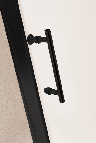 Душевая дверь CEZARES ECO-O-BF-1-120-C-NERO