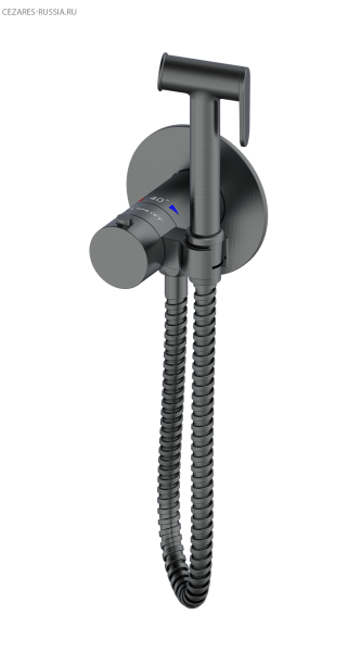 Гигиенический душ с термостатом AltroBagno BM 060404 GrMt Гигиенический душ с термостатом AltroBagno BM 060404 GrMt