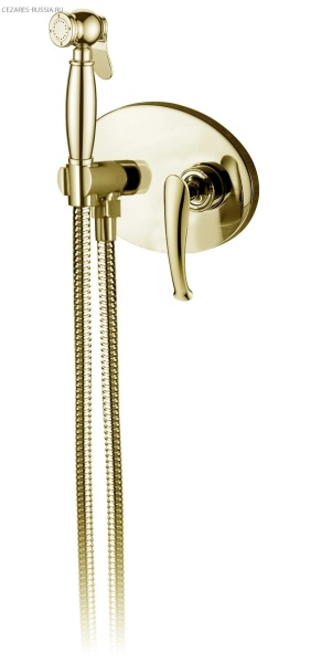 Встраиваемый гигиенический душ AltroBagno Beatrice 060113 Or Встраиваемый гигиенический душ AltroBagno Beatrice 060113 Or