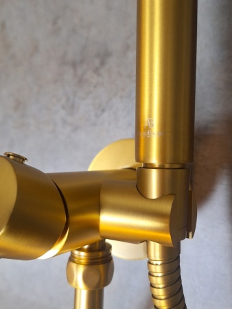 Встраиваемый гигиенический душ AltroBagno BM 060117 OrSp Встраиваемый гигиенический душ AltroBagno BM 060117 OrSp