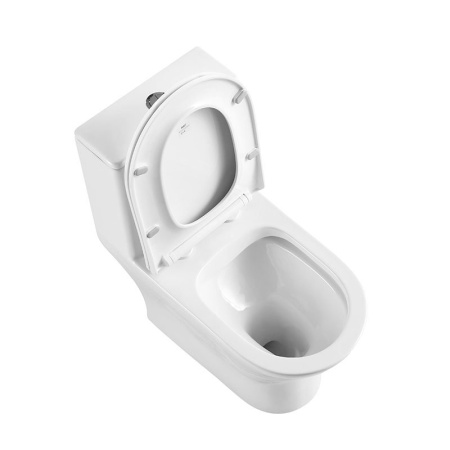 Унитаз-моноблок с сиденьем BelBagno LOUNGE BB8618CPR-MN/SC Унитаз-моноблок с сиденьем BelBagno LOUNGE BB8618CPR-MN/SC