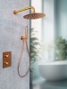 Душевая система с термостатом AltroBagno Unione 040410 RaSp