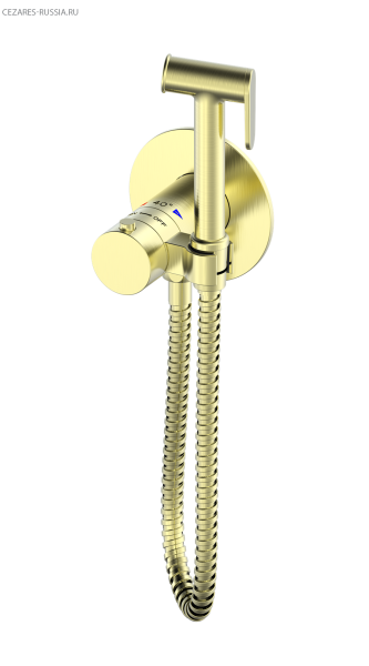 Гигиенический душ с термостатом AltroBagno BM 060403 OrSp Гигиенический душ с термостатом AltroBagno BM 060403 OrSp