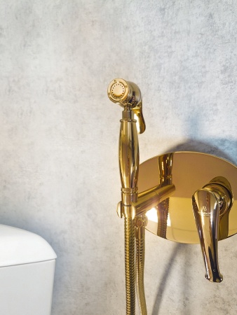 Встраиваемый гигиенический душ AltroBagno Beatrice 060113 Or Встраиваемый гигиенический душ AltroBagno Beatrice 060113 Or