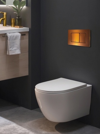 Кнопка смыва AltroBagno PFP 003FQ